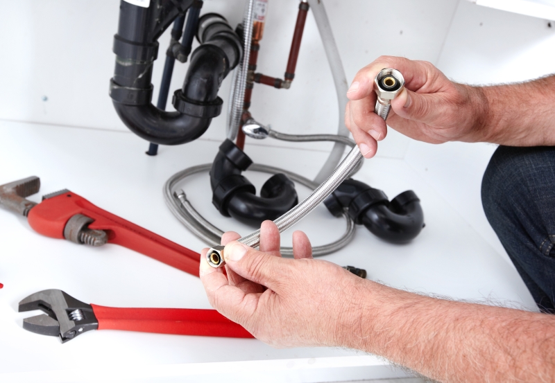 Toilet repair being carried out in Battersea